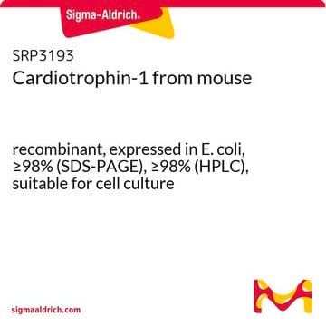 Cardiotrophin-1 from mouse recombinant, expressed in E. coli, &#8805;98% (SDS-PAGE), &#8805;98% (HPLC), suitable for cell culture