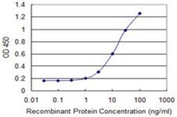 Monoclonal Anti-SULT1C2 antibody produced in mouse clone 4D9, purified immunoglobulin, buffered aqueous solution