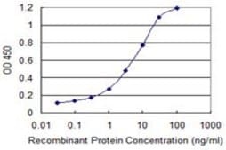 Monoclonal Anti-SEC13 antibody produced in mouse clone 1G7, purified immunoglobulin, buffered aqueous solution