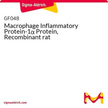 Macrophage Inflammatory Protein-1&#945; Protein, Recombinant rat