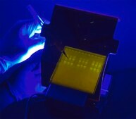 Benchmark SmartBlue Mini Transilluminator AC/DC input 115 V