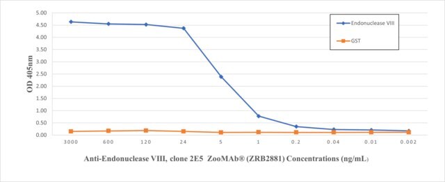 Anti-Endonuclease VIII Antibody, clone 2E5 ZooMAb&#174; Rabbit Monoclonal recombinant, expressed in HEK 293 cells