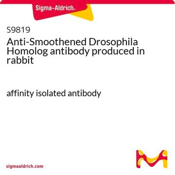 Anti-Smoothened Drosophila Homolog antibody produced in rabbit affinity isolated antibody