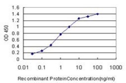 Monoclonal Anti-NVL antibody produced in mouse clone 3F6, purified immunoglobulin, buffered aqueous solution