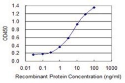 Monoclonal Anti-METTL2 antibody produced in mouse clone 2A9, purified immunoglobulin, buffered aqueous solution