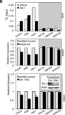 Anti-PADI4 (N-terminal) antibody produced in rabbit IgG fraction of antiserum, buffered aqueous solution