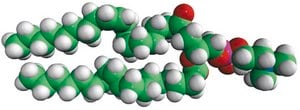 18:1 (&#916;9-Trans) PC 1,2-dielaidoyl-sn-glycero-3-phosphocholine, powder