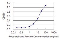 Monoclonal Anti-ZNF187 antibody produced in mouse clone 3E11, purified immunoglobulin, buffered aqueous solution