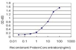 Monoclonal Anti-SYT2 antibody produced in mouse clone 1G10, purified immunoglobulin, buffered aqueous solution