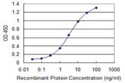 Monoclonal Anti-DAPK2 antibody produced in mouse clone 3D4, purified immunoglobulin, buffered aqueous solution