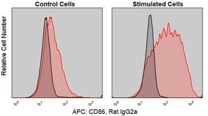 Anti-Mouse CD86/B7-2 (GL-1) ColorWheel&#174; Dye-Ready mAb for use with ColorWheel&#174; Dyes (Required, sold separately)