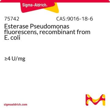 Esterase Pseudomonas fluorescens, recombinant 来源于大肠杆菌 &#8805;4&#160;U/mg