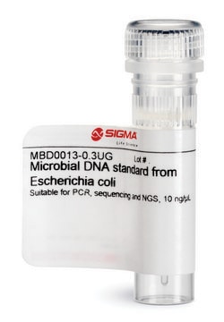 Microbial DNA standard from Escherichia coli Suitable for PCR, sequencing and NGS, 10&#160;ng/&#956;L