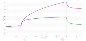 Anti-CKII-&#945; Antibody, clone 3K8 ZooMAb&#174; Rabbit Monoclonal recombinant, expressed in HEK 293 cells