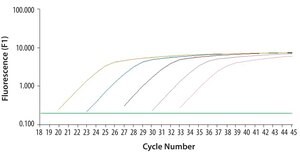 SYBR® Green JumpStart™ Taq ReadyMix™ for Quantitative PCR, Capillary Formulation SYBR® Green qPCR reagent for Roche LightCycler® capillary systems