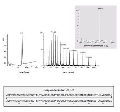 Di-Ubiquitin (Linear) Recombinant Protein | 14-1128