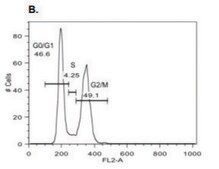 Cell Cycle Analysis Kit sufficient for 100 assays