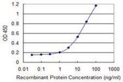 Monoclonal Anti-FBN1 antibody produced in mouse clone 3H6, purified immunoglobulin, buffered aqueous solution