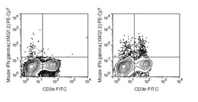 Anti-mouse IFN gamma, PE-Cy7, clone XMG1.2 Antibody clone XMG1.2, from rat, PE-Cy7