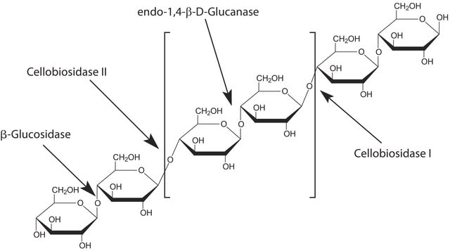 &#946;-Glucosidase from almonds lyophilized powder, 10-30&#160;units/mg solid