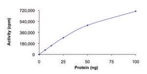 MARK2, active, GST tagged human PRECISIO&#174; Kinase, recombinant, expressed in baculovirus infected Sf9 cells, &#8805;70% (SDS-PAGE), buffered aqueous glycerol solution