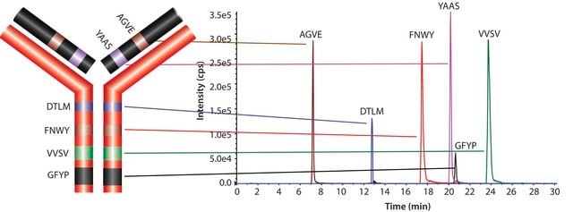 SILu&#8482;MAB Stable-Isotope Labeled Universal Monoclonal Antibody Standard human recombinant, expressed in CHO cells