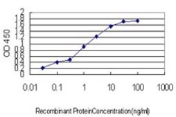 Monoclonal Anti-CPNE6 antibody produced in mouse clone 6D11, purified immunoglobulin, buffered aqueous solution