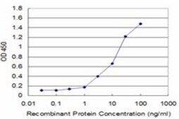Monoclonal Anti-TNFRSF8 antibody produced in mouse clone 2E2, purified immunoglobulin, buffered aqueous solution