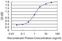 Monoclonal Anti-ANXA2 antibody produced in mouse clone 4G8, purified immunoglobulin, buffered aqueous solution