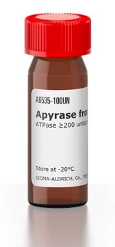 Apyrase from potatoes ATPase &#8805;200&#160;units/mg protein, lyophilized powder