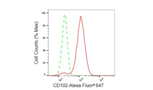 Anti CD102 Antibody, clone 23GB5980, Rabbit Monoclonal clone 23GB5980, recombinant rabbit monoclonal, expressed in HEK293 cells