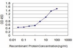 ANTI-KLF1 antibody produced in mouse clone 2A6, purified immunoglobulin, buffered aqueous solution