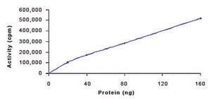 PIM1, active, GST tagged human PRECISIO&#174; Kinase, recombinant, expressed in baculovirus infected Sf9 cells, &#8805;70% (SDS-PAGE), buffered aqueous glycerol solution