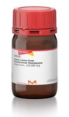 Amano Lipase from Pseudomonas fluorescens beige-brown, ≥20,000 U/g
