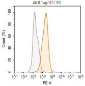 Anti-COXI/MT-CO1 Antibody, clone 1C22 ZooMAb® Rabbit Monoclonal recombinant, expressed in HEK 293 cells