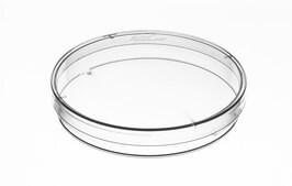 Plant-Safe Cell Culture Petri Dishes With Lid polyactide (PLA), W × H 100 mm × 15 mm, pack of 375 ea