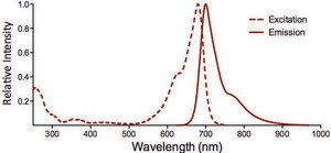 Monoclonal Anti-CD74-Atto 680 antibody produced in mouse clone 1B8