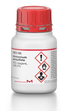Ammonium persulfate ACS reagent, = 98.0 7727-54-0