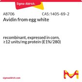 亲和素 来源于鸡蛋白 recombinant, expressed in corn, ≥12 units/mg protein (E1%/280)