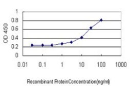 Monoclonal Anti-TAP1 antibody produced in mouse clone 2B4, purified immunoglobulin, buffered aqueous solution