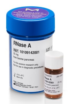 RNase A from bovine pancreas