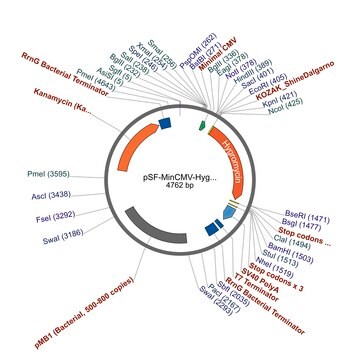 PSF-MINCMV-HYGRO - HYGROMYCIN MINIMAL CMV PLASMID plasmid vector for molecular cloning