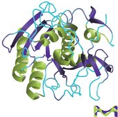 Proteinase K from Tritirachium album Reagents designed and manufactured under current ISO 13485 certification.