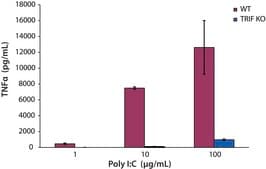 Polyinosinic–polycytidylic acid sodium salt TLR ligand tested