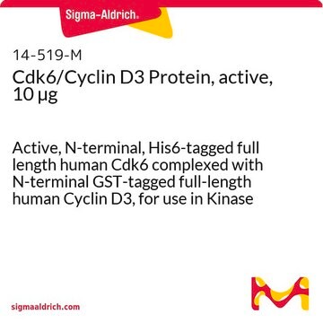 Cdk6/Cyclin D3 Protein, active, 10 &#181;g Active, N-terminal, His6-tagged full length human Cdk6 complexed with N-terminal GST-tagged full-length human Cyclin D3, for use in Kinase Assays.