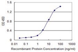 Monoclonal Anti-CDC42BPG antibody produced in mouse clone 2C3, purified immunoglobulin, buffered aqueous solution