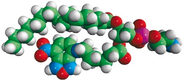 16:0-06:0 NBD PE Avanti Polar Lipids 810153C