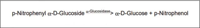 &#945;-Glucosidase from Saccharomyces cerevisiae Type I, lyophilized powder, &#8805;10&#160;units/mg protein (using p-nitrophenyl &#945;-D-glucoside as substrate.)