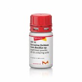 Sarcosine Oxidase from Bacillus sp. lyophilized powder, 25-50 units/mg solid