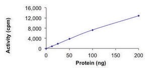 MYLK4, Active PRECISIO&#174; Kinase, recombinant